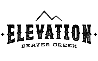 Elevation 2023 logo