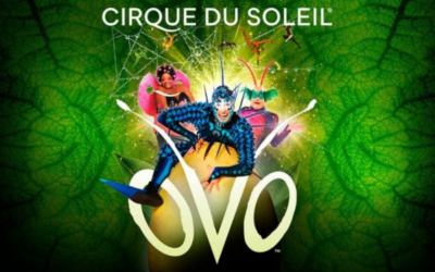 Cirque Ovo